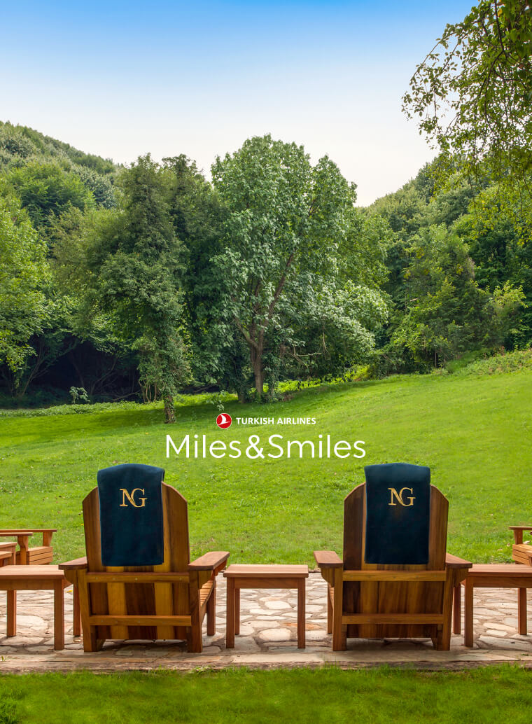 Ng Hotels Miles Smiles Card (2)
